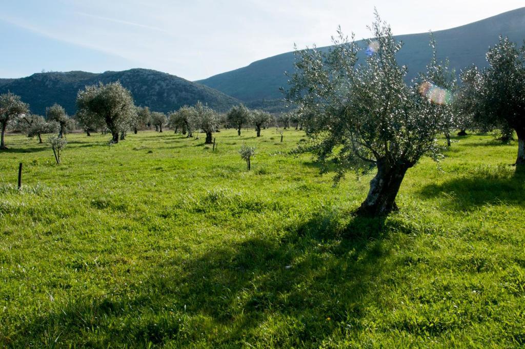 مبيت وإفطار ألفادوس Casa Boho - Turismo Rural المظهر الخارجي الصورة